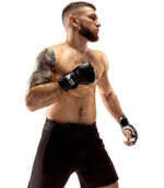 Custom MMA Gloves (Fight and Sparring)